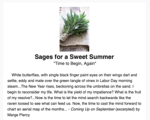 This is a sample of the posts written by Rabbi Mark as part of his Torah For Turbulent Times series